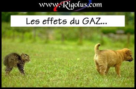 rhooooooooo  pas sympa le chien!   lolllllllll
